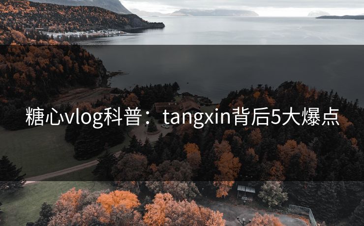 糖心vlog科普:tangxin背后5大爆点